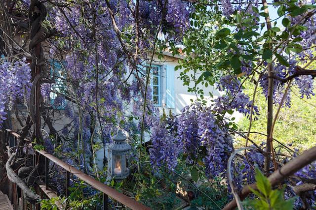 La Vieille Maison - Halte Gourmande Durfort-et-Saint-Martin-de-Sossenac Eksteriør bilde