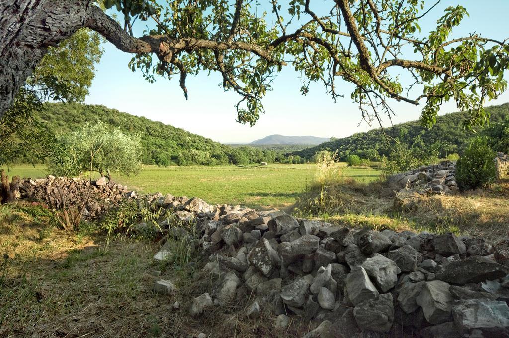 La Vieille Maison - Halte Gourmande Durfort-et-Saint-Martin-de-Sossenac Eksteriør bilde